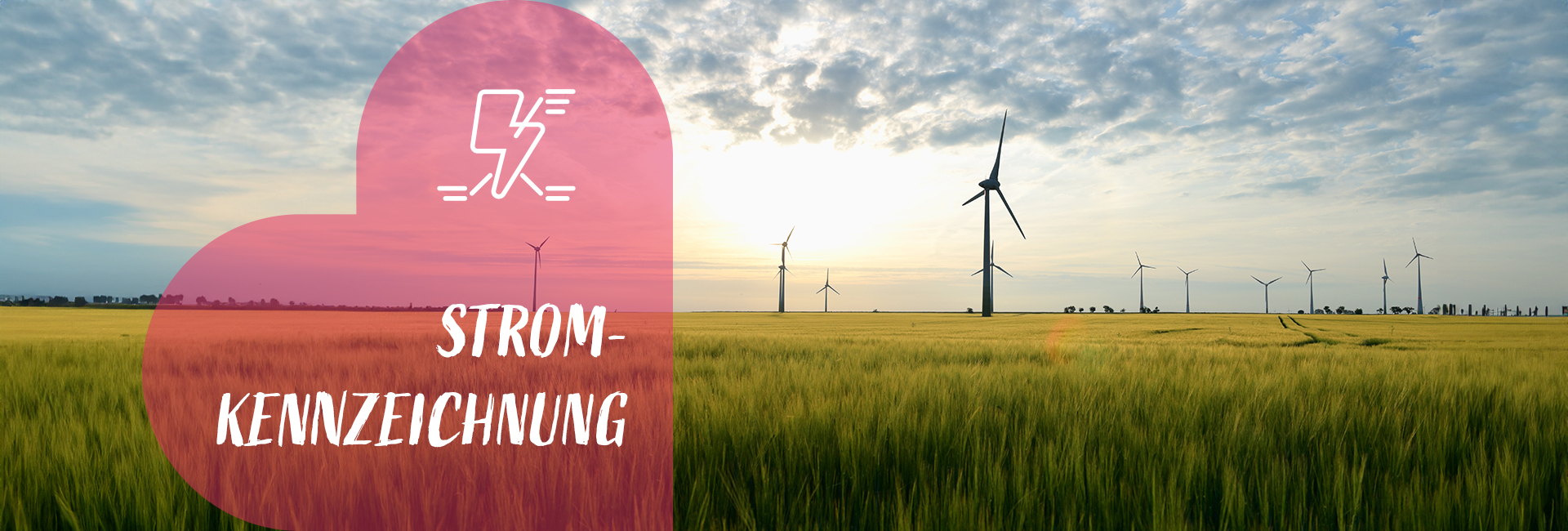 Herobild Stromkennzeichnung