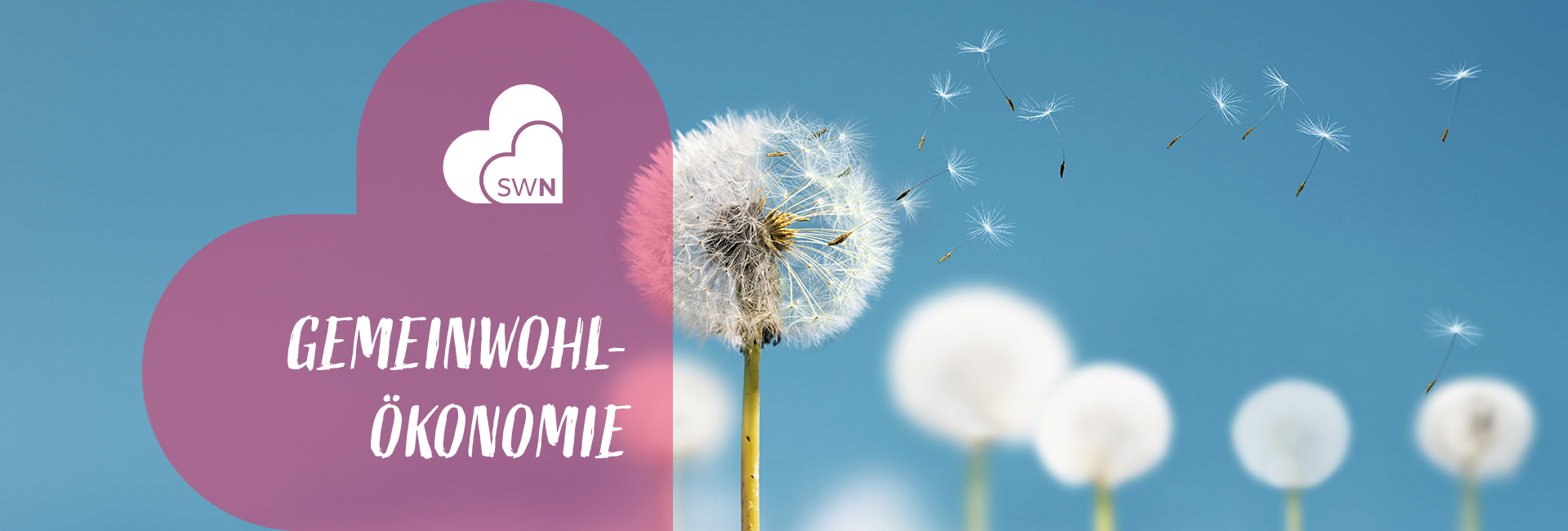 Herobild Gemeinwohlökonomie