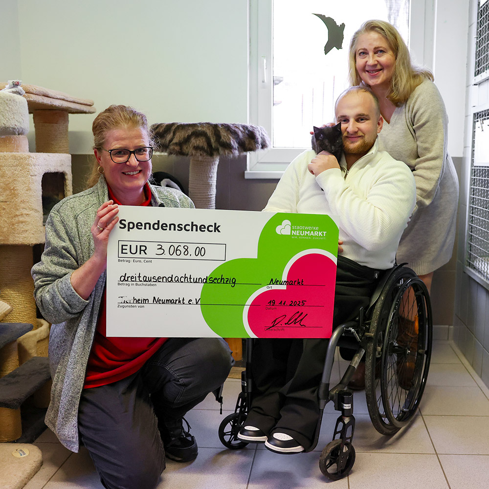 Drei Personen posieren in einem Raum eines Tierheims. Eine Frau links kniet und hält einen großen Spendenscheck über 3.068 Euro in den Händen. Rechts sitzt ein Mann im Rollstuhl und hält eine schwarze Katze auf dem Arm; hinter ihm steht eine weitere Frau und legt eine Hand auf seine Schulter. Im Hintergrund sind Kratzbäume und Tiergehege zu sehen.