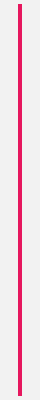 Trennlinie pink